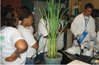 DBNRRC intern pouring liquid nitrogen for DNA extraction