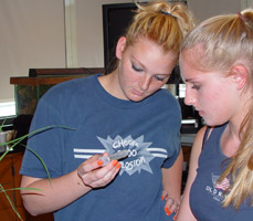 Students working in a lab